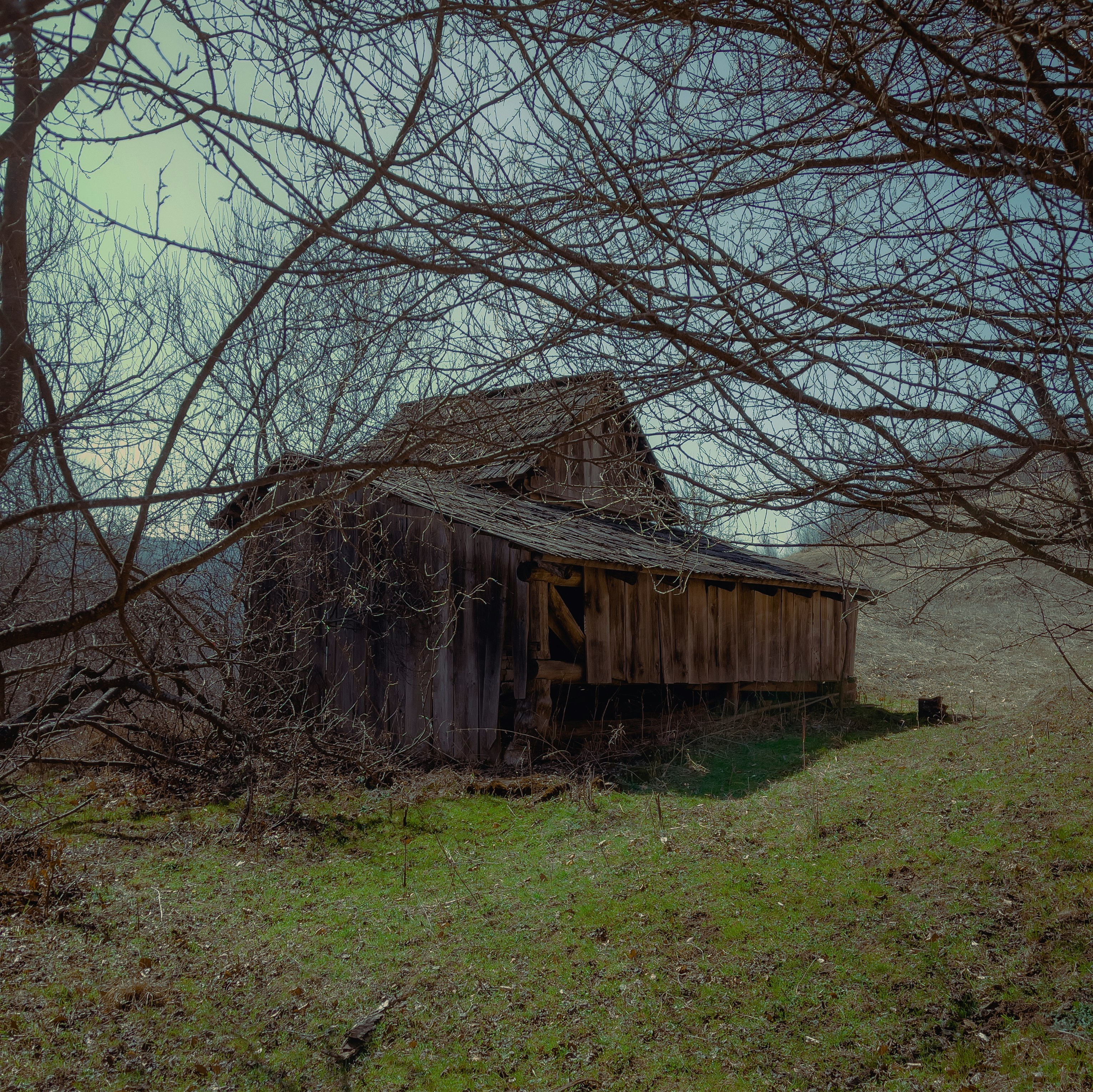 brown wooden house near bare trees during daytime